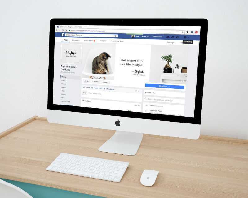 Social media advertising