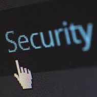 Secure website hosting