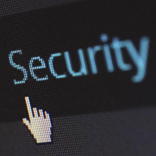 Secure website hosting